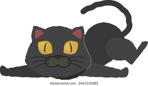 
black cat lying on its stomach