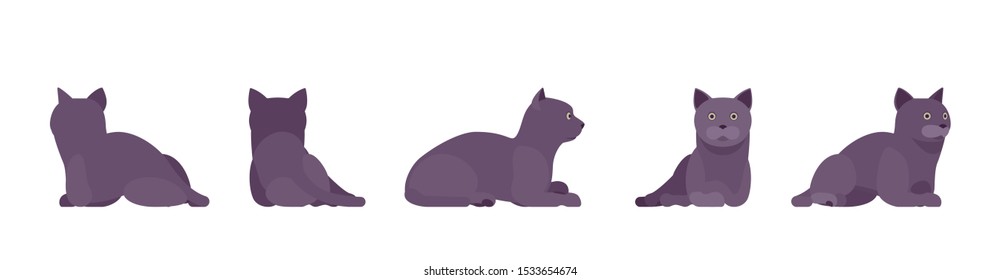 Black Cat lying resting. Active healthy kitten with dark, gray colored fur, cute funny pet, mystic bad luck omen. Vector flat style cartoon illustration isolated on white background, different views