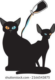 Black cat with magic potion make their different eyes color