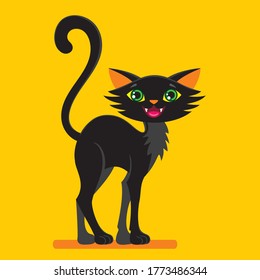 Black cat, a magical animal. 