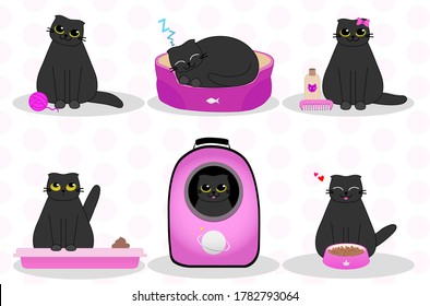 Black cat, mascot animal - cute fat kitten, pet shop character set