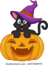 Black cat mascot cartoon in a witch hat is sitting on a halloween pumpkin