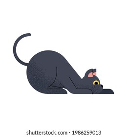 black cat mascot pet character