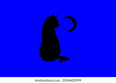 Black cat and moon design vector illustration in blue background.