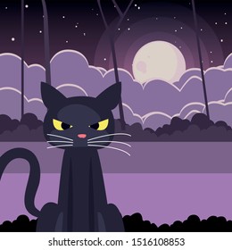 black cat with moon in scene of halloween