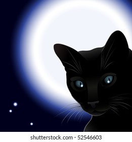 Black cat and moon, vector illustration, all parts closed, EPS8 format, possibility to edit