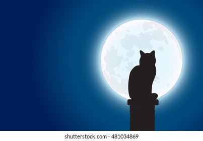 black cat in the night.