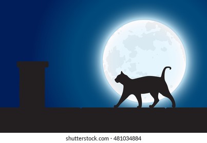 black cat in the night.