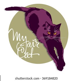 Black cat on a gray background