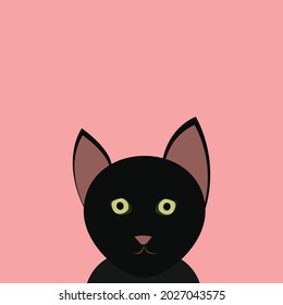 Black cat on pink background