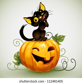 Black cat on pumpkin.