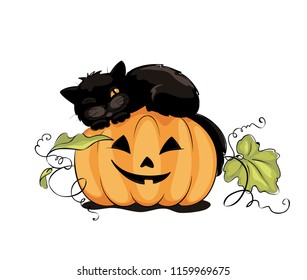 Black cat on pumpkin / Funny vector illustration, Halloween decoration