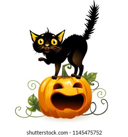 Black cat on pumpkin. Isolated on a white background. Vector Illustration.