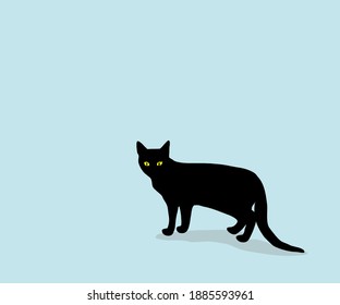 Black cat on sky blue background.