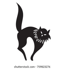 Black cat on white