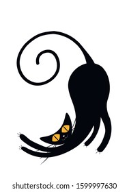 Black cat on a white background