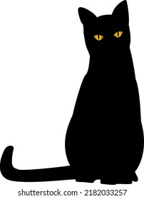black cat on a white background