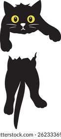 Black Cat On White Background