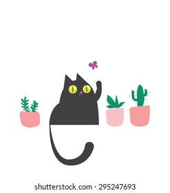 Black cat on the white background sitting behind of the pink pots and chasing butterfly.