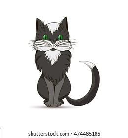 black cat on a white background