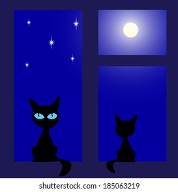 black cat on the window