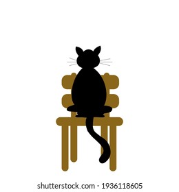 Black cat on the wooden chair