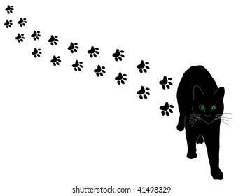 Black cat and paws - vector illustration