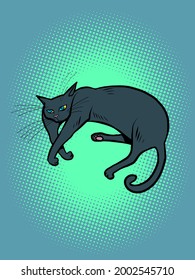 un gato negro, una mascota tendida a su lado. animales
