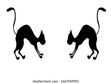 Black cat pet on a white background. Vector image. Background image. Place for text. Template. Advertising. Poster. Fight of cats. Homeless cat. Street cats.