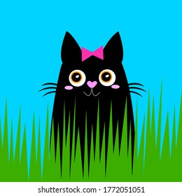 black cat with a pink bow and bright orange eyes sits in the green grass closeup portrait against a blue clear sky the concept of pets and homeless animals