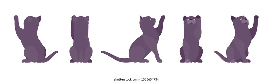 Black Cat playing. Active healthy kitten with dark, gray colored fur, cute funny pet, mystic bad luck omen. Vector flat style cartoon illustration isolated on white background, different views