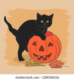 Black cat playing with pumpkin