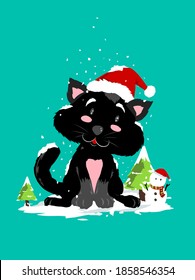 Black Cat playing Snow with Snow man