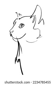 Retrato de gato negro dibujado en tinta, ilustración vectorial, boceto rápido. Símbolo de 2023 según el calendario chino, arte de línea