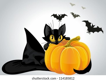 A Black Cat With Pumpkin