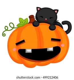Black cat and the pumpkin