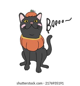 Black cat in pumpkin Halloween costume cartoon vector illustration	