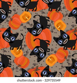 Black cat and pumpkin on a gray background.