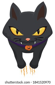 Black cat with purple collar with pumpkin medallion and furious attitude, scratching the blank space.