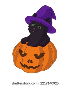 Black cat in a purple witch hat crawls out of a Halloween pumpkin. Vector illustration on a white background