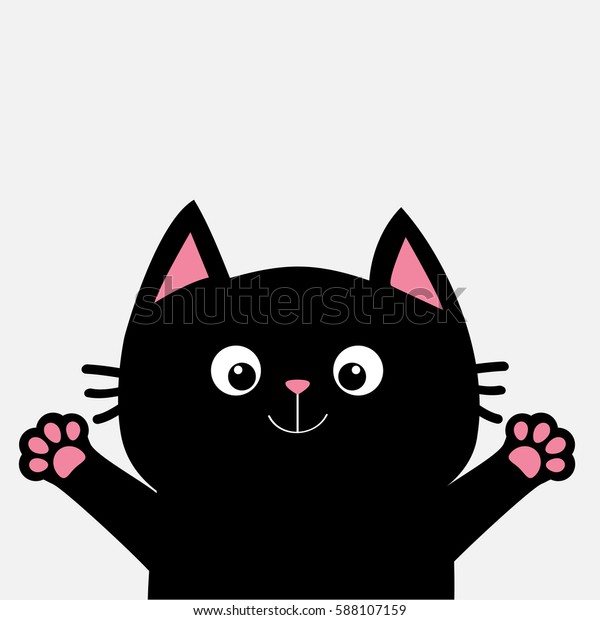 gatto nero zampa gatto nero zampa