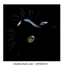 black cat realistic