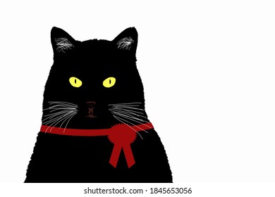 black cat with red ribbon on white background,vector illustration
