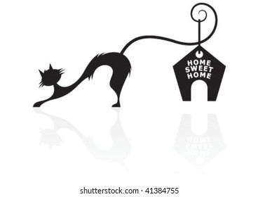 The black cat with reflection on the ground