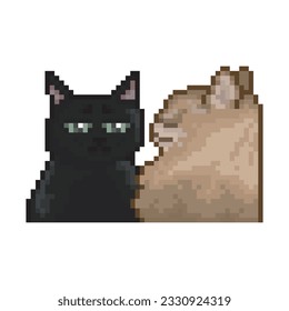 Black cat with sad look, pixel art meme