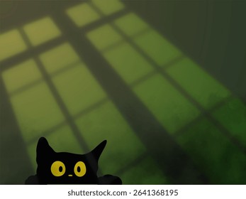 The black cat is scared because the atmosphere outside the window is scary
