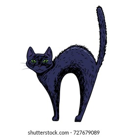 Black cat, scary Halloween sketch illustration. Vector