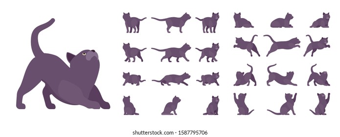Black Cat set. Active healthy kitten with dark, gray colored fur, cute funny pet, mystic bad luck omen. Vector flat style cartoon illustration isolated on white background, different views and poses