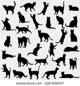 Black Cat Set Isolated Transparent Background 
, Vector Illustration