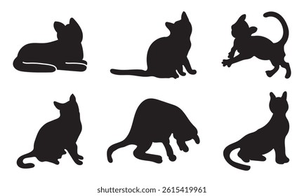 Black Cat Set Isolated White Background